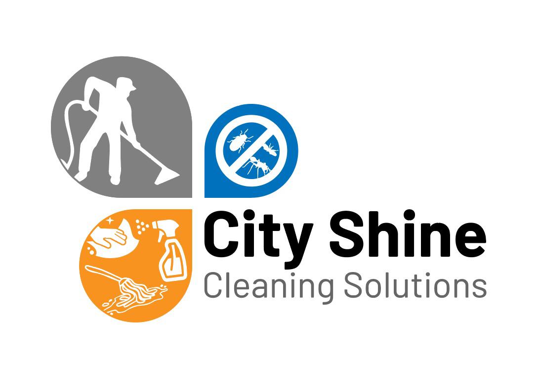 City Shine Cleaning Solution