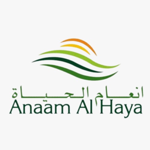 Anaam Al Haya